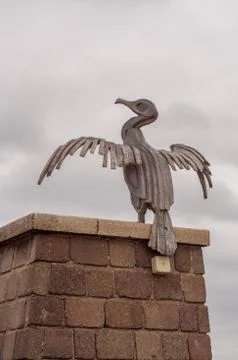 Tern project Stock Photos