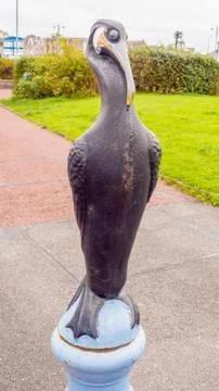 Tern project Stock Photos