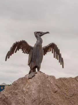 Tern project Stock Photos