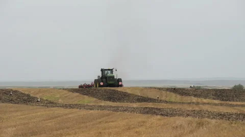 TERNOPIL - UCRAINE, CIRCA 2014, Machine plough the ground in autumn season Stock Footage 98564369
