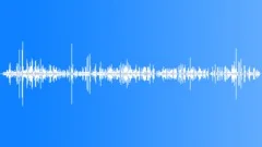 Terns and Gulls Sound Effect