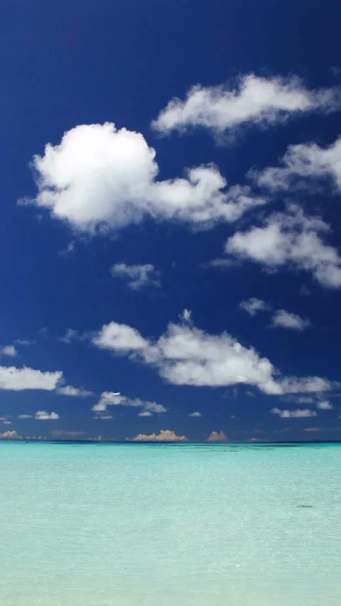 Terns and the Sea Stock Footage 324921121
