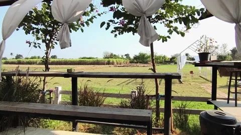 Terrace and Nature 2 Stock Footage 170081357