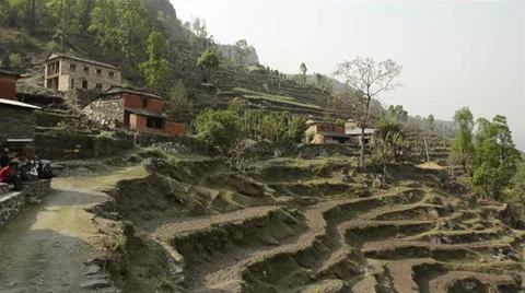 Terrace farming Stock Footage 33463670
