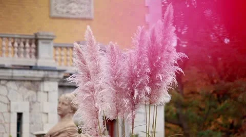 Terrace Stock Footage 8949610