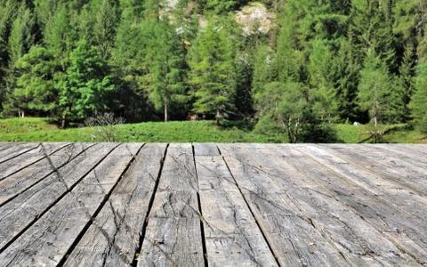 Terrace in front pine trees Stock Photos