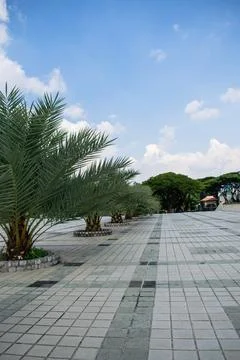 Terrace of mosque central java with palm fruit and cloudy blue sky background Stock Photos