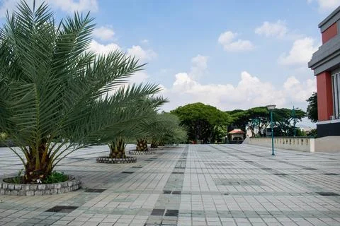 Terrace of mosque central java with palm fruit and cloudy blue sky background Stock-Fotos