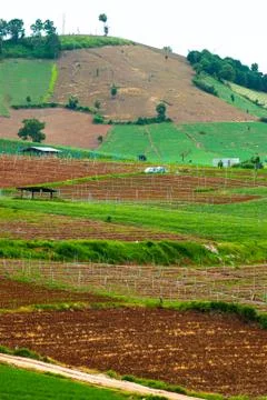 Terrace rice fields in Mae Chaem District Chiang Mai, Thailand Stock Photos