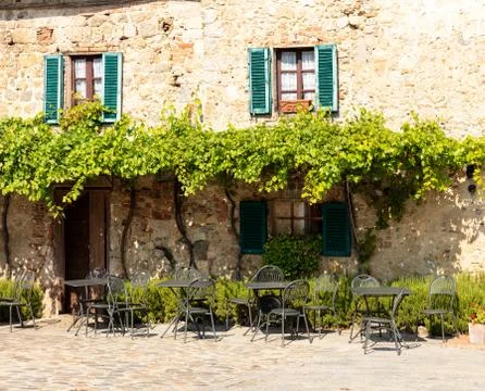 Terrace under grapevines Stock Photos