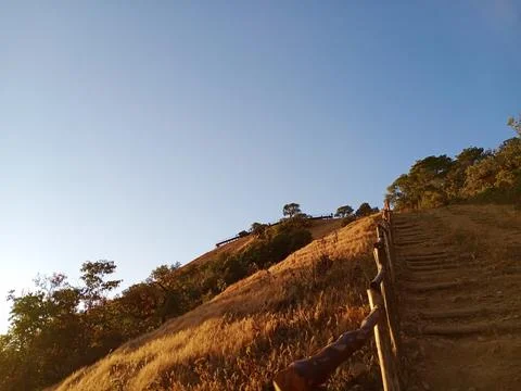 Terraced earthen steps ascending the steep hillside feature wooden handrail Stock Photos