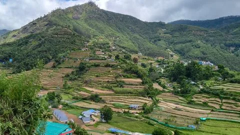 Terraced Farm Fields and Mountain Village in Vattavada, Idukki, Kerala, India Stock Photos