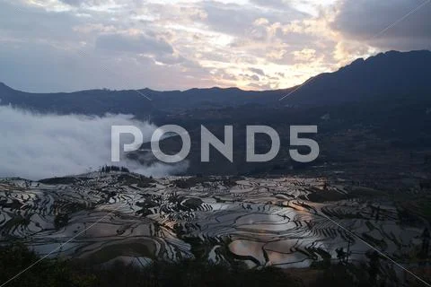 Terraced Fields and Mountains Stock Photos