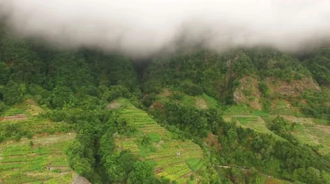 Terraced fields in Madeira under clouds at autumn, Portugal aerial view 스톡 동영상 68444748
