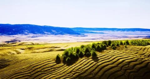 Terraced fields stretch across a vast landscape with lush greenery on the hil Stock Illustration