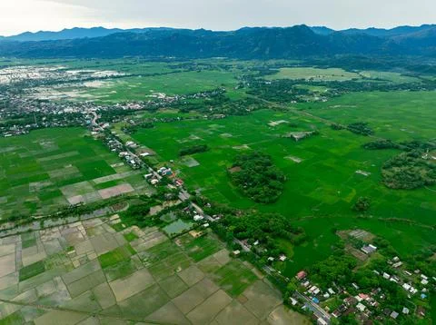 Terraced Fields Sunset Stock Photos