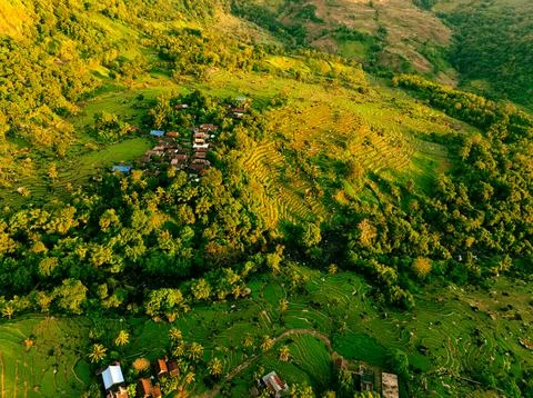 Terraced Fields Sunset Stock Photos