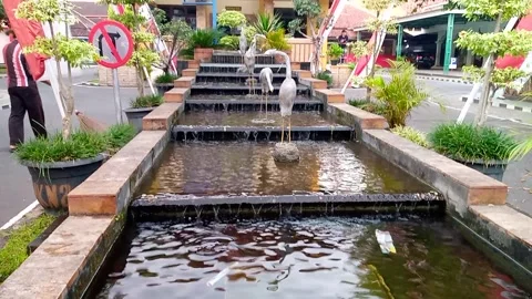 Terraced fish pond Stock Footage 244568364