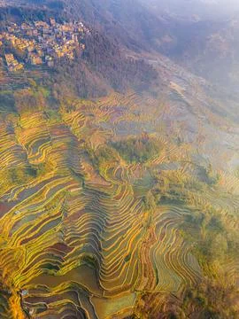 Terraced Hani Rice Fields Scenery in Spring Water Season in South China. Prov Stock Photos