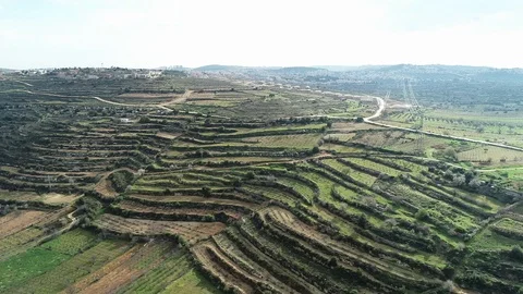 Terraced Hill 스톡 동영상 111494115