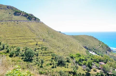 Terraced Hillside with Ocean View Stock Photos