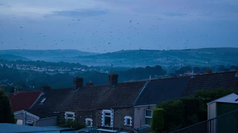 Terraced Housing of old mining town at dawn with a murmuration of crows Stock Footage 35042018