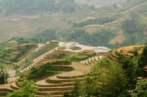 Terraced Stock Photos