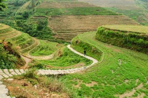 Terraced Stock Photos