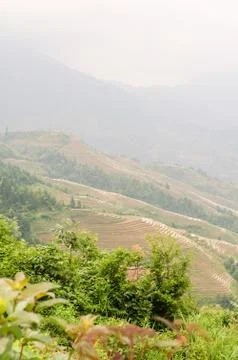 Terraced Stock Photos