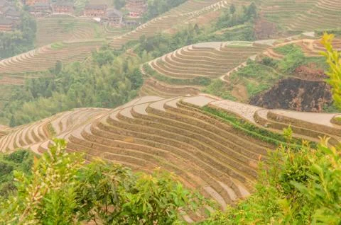Terraced Foto stock