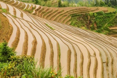 Terraced Stock Photos