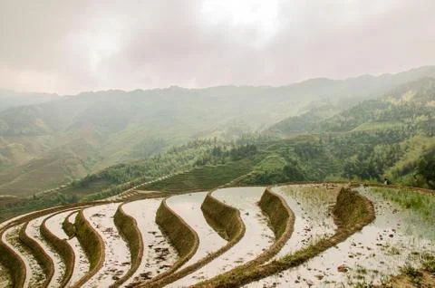 Terraced Stock Photos
