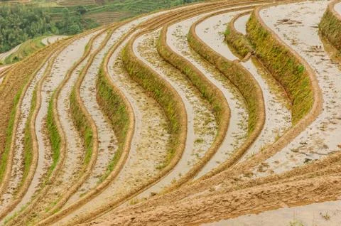 Terraced Stock Photos