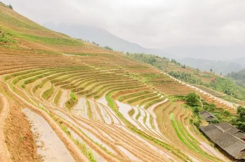Terraced Stock Photos