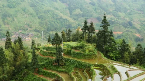 Terraced Rice Field Stock Footage 51569023