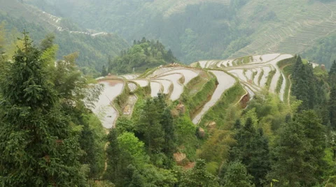 Terraced Rice Field Stock Footage 51689650