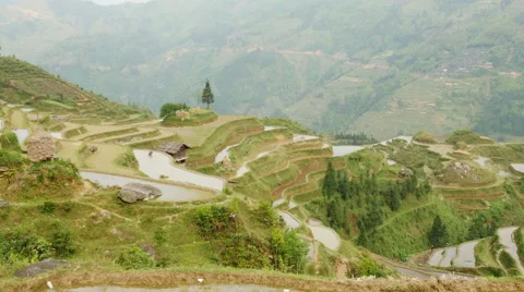 Terraced Rice Field Stock Footage 52048401