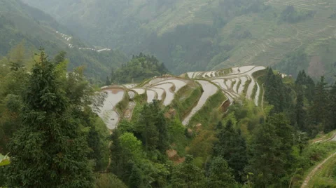 Terraced Rice Field Stock Footage 66509260