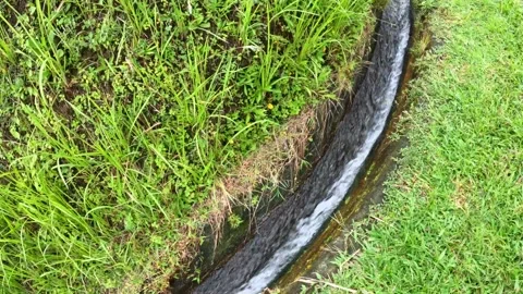 Terraced Rice Fields and Irrigation in Jatiluwih, Bali, Indonesia Vídeo Stock 260357766