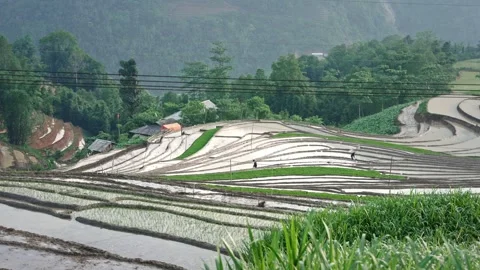 Terraced rice fields and mountain farms in Sa Pa Lao Cai Vietnam Stock Footage 340023560
