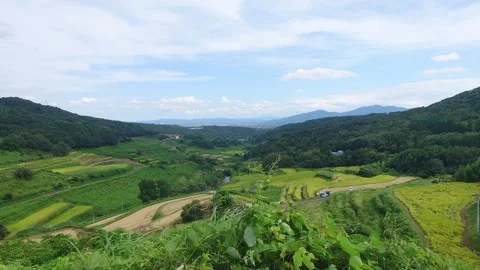 Terraced rice fields and red spider lilies (Beppu City, Oita Prefecture) Stock Footage 342319925