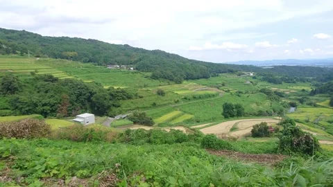 Terraced rice fields and red spider lilies (Beppu City, Oita Prefecture) Stock Footage 342319929