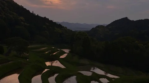 Terraced Rice Fields in a Cloudy Morning Video stock 84936256