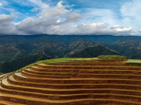 Terraced rice fields drone view, Mu Cang Chai, Yen Bai, Vietnam Stock Photos