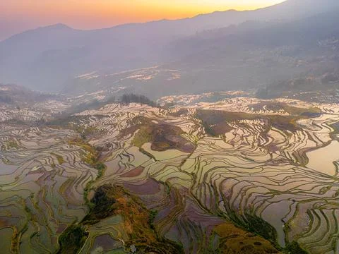 Terraced Rice fields filled with water during spring, Yuanyang, Yunnan, China Stock Photos