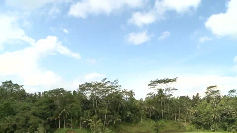 Terraced Rice Fields Stock Footage 327576740