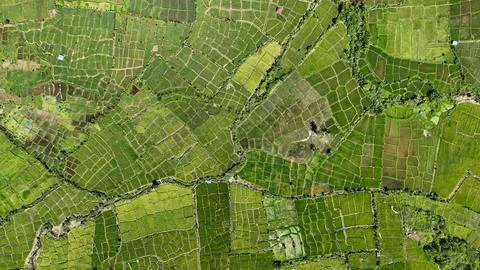 Terraced rice fields form a hypnotic geometric tapestry, blanketing Sumatra Stock Photos