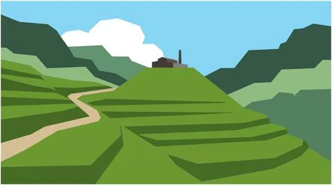 Terraced rice fields on hillside with small farm building terraced agricultur Stock Illustration