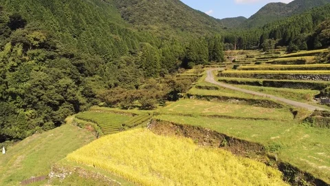 Terraced Rice Fields in Japan 動画素材 104846734