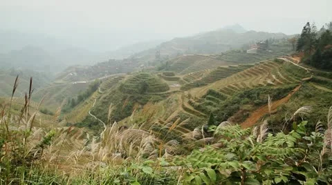 Terraced rice fields in mountains Stock Footage 12617585
